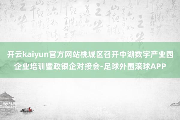 开云kaiyun官方网站桃城区召开中湖数字产业园企业培训暨政银企对接会-足球外围滚球APP