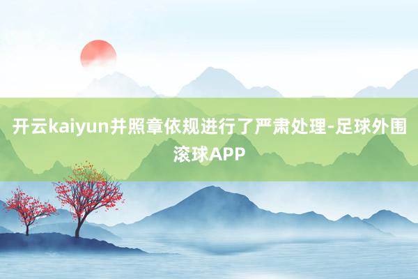 开云kaiyun并照章依规进行了严肃处理-足球外围滚球APP