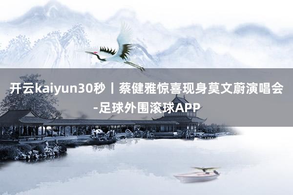 开云kaiyun30秒丨蔡健雅惊喜现身莫文蔚演唱会-足球外围滚球APP