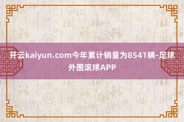 开云kaiyun.com今年累计销量为8541辆-足球外围滚球APP