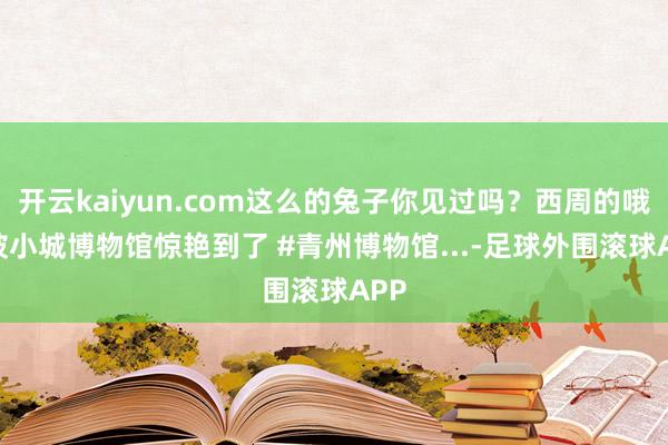 开云kaiyun.com这么的兔子你见过吗？西周的哦 #被小城博物馆惊艳到了 #青州博物馆...-足球外围滚球APP