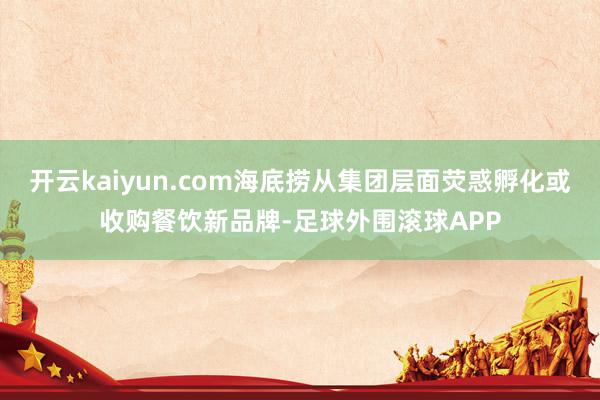 开云kaiyun.com海底捞从集团层面荧惑孵化或收购餐饮新品牌-足球外围滚球APP