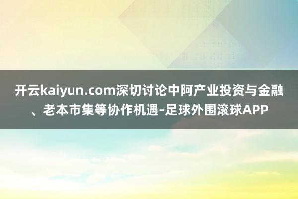 开云kaiyun.com深切讨论中阿产业投资与金融、老本市集等协作机遇-足球外围滚球APP