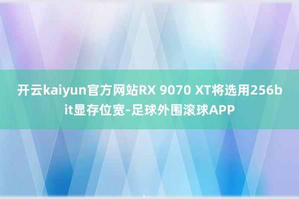 开云kaiyun官方网站RX 9070 XT将选用256bit显存位宽-足球外围滚球APP